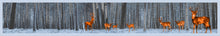 Load image into Gallery viewer, Deer Silk Scarf