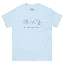 Load image into Gallery viewer, Mockup of a light blue t-shirt with hand-drawn illustrations of squids and calamari on the front, along with the phrase &#39;Hand-drawn by the Aegean&#39;
