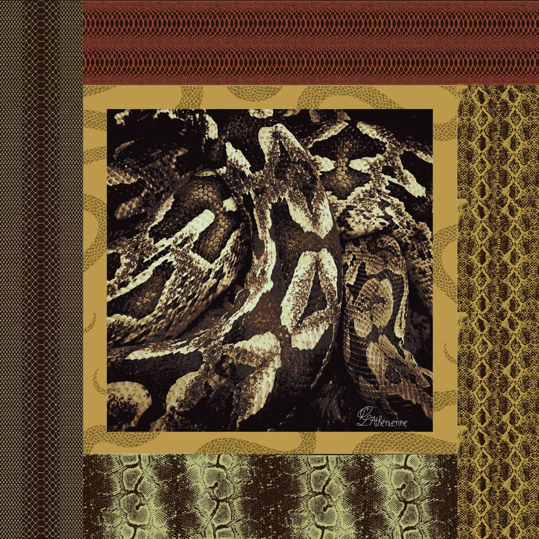 Boa Silk Square